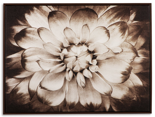 Phiala - picture A8000103