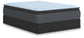 Destin Cove PT California King Mattress